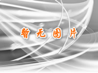&#21322;&#23707;&#32593;&#39029;&#29256;&#45;&#21322;&#23707;&#98;&#97;&#110;&#100;&#97;&#111;&#65288;&#20013;&#22269;&#65289;